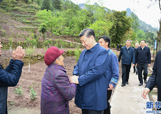 “這件事我要以釘釘子精神反反復復地去抓”——記習近平總書記在重慶專題調研脫貧攻堅